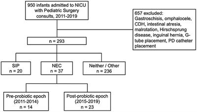 Routine Administration of a Multispecies Probiotic Containing Bifidobacterium and Lactobacillus to Very Low Birth Weight Infants Had No Significant Impact on the Incidence of Necrotizing Enterocolitis